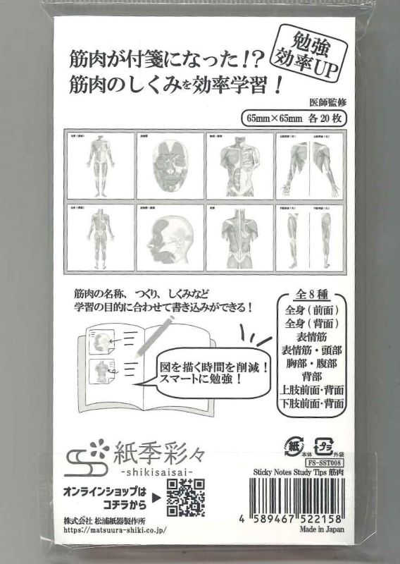 【メール便OK】松浦紙器 Sticky Notes Study Tips.筋肉ふせん FS-SST008【4589467522158】