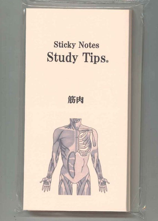【メール便OK】松浦紙器 Sticky Notes Study Tips.筋肉ふせん　FS-SST008